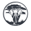 Elephant in nature