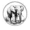 Elephant in nature