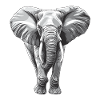 Éléphant