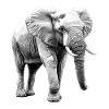 Éléphant