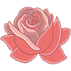 Herz der Rose