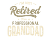 Professional Granddad Retirement Redefined
