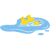 Ducks in a pond