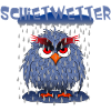Owl Bad weather