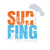 012s Surfing2