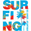 010s SURFING