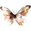 027 PAPILLON2