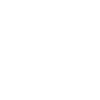 Enchanted Cat