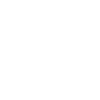 Flower Skull - Beauty in Transition