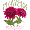 Chrysanthemums, Chrysanthemum, Flower, Flowers