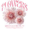 Chrysanthemums, Chrysanthemums, Flower, Flowers