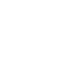 Magnificent Lion - Powerful Line Art
