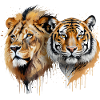 Lion and Tiger Showdown