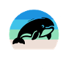 Yangtze River Smooth Dolphin