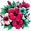 Fleurs d’hibiscus