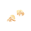 Traîner avec mon bernard-l’ermite Hermies