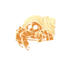 Save the hermit crabs