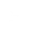 Taekwondo