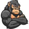 gorilla
