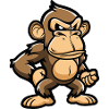 monkey