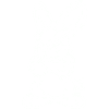 Bunny Comic