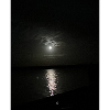 Mond