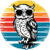 Nachteule Eule Eulen Vogel