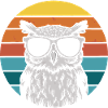 Night Owl Owl Owl Bird