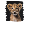 Lion Löwen Löwe