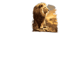 Lion Löwen Löwe