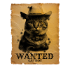 Wanted Catboy