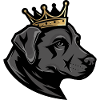 Labrador Dog Crown