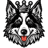 Border Collie Dog Crown