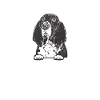 Cadeaux Basset Hound