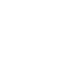 Komodo dragon monitor lizard