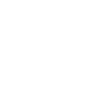 Komodo dragon monitor lizard
