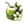 Fresh coconut