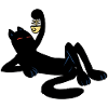 A cat pasha