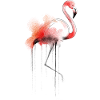 Flamingo Aquarelle