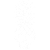 Crâne d'un ananas (blanc)