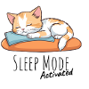 Sleep Mode Activated