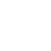 Stormy lion with basketball