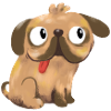 Pug