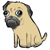 Pug
