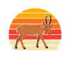 Saiga Antelope Sayings