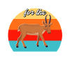 Dictons drôles d’antilope saïga