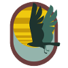 Falcon Flight