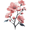 Fleur de cerisier