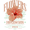 Fleur d’hibiscus Fleur d’hibiscus