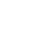 Bernese Mountain Dog - Dog Fan